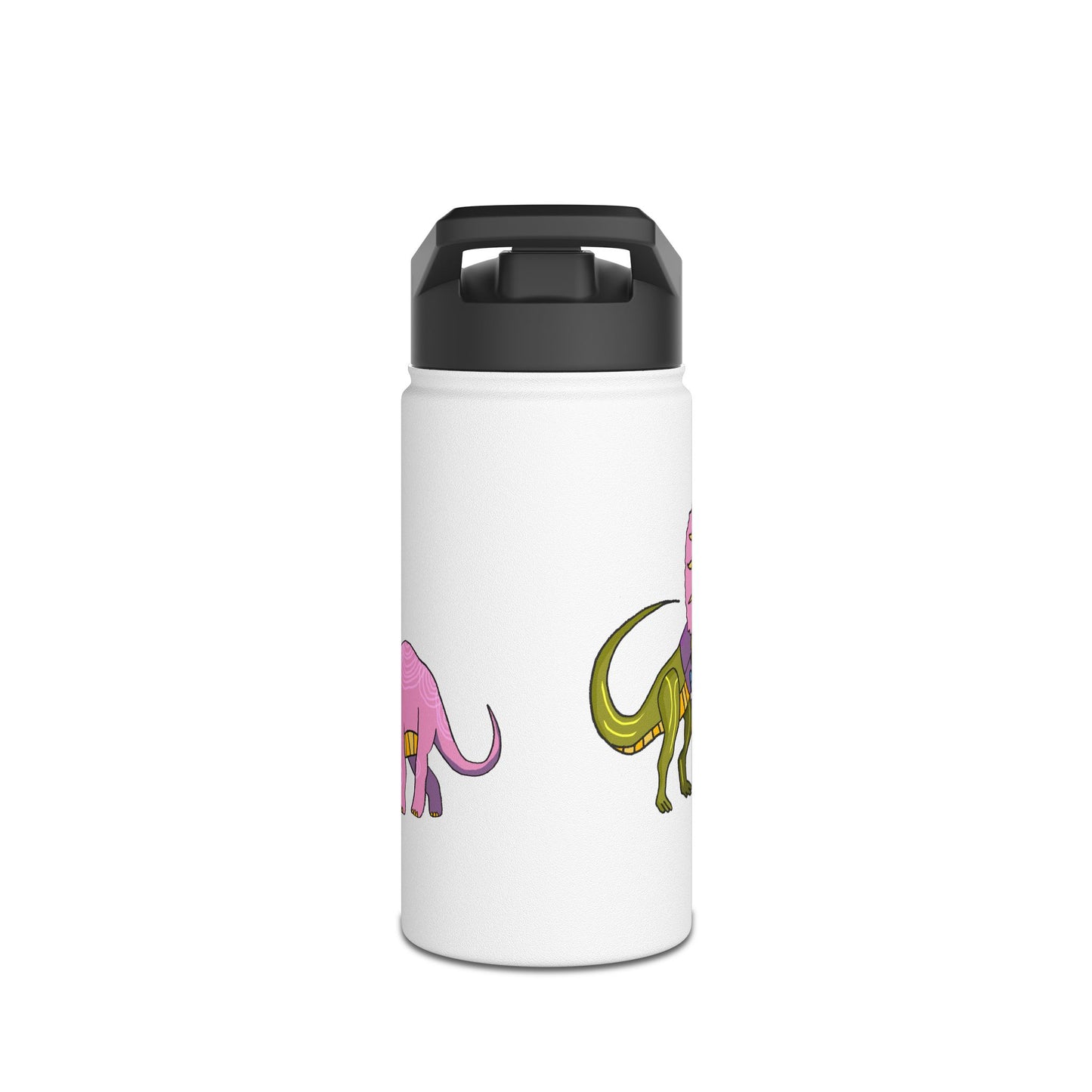 Stainless Steel Water Bottle
